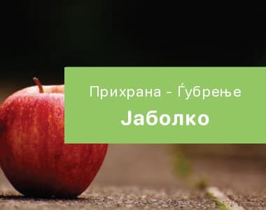 Јаболко