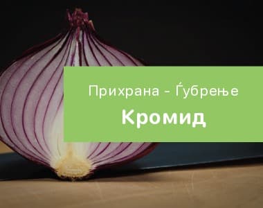 Кромид